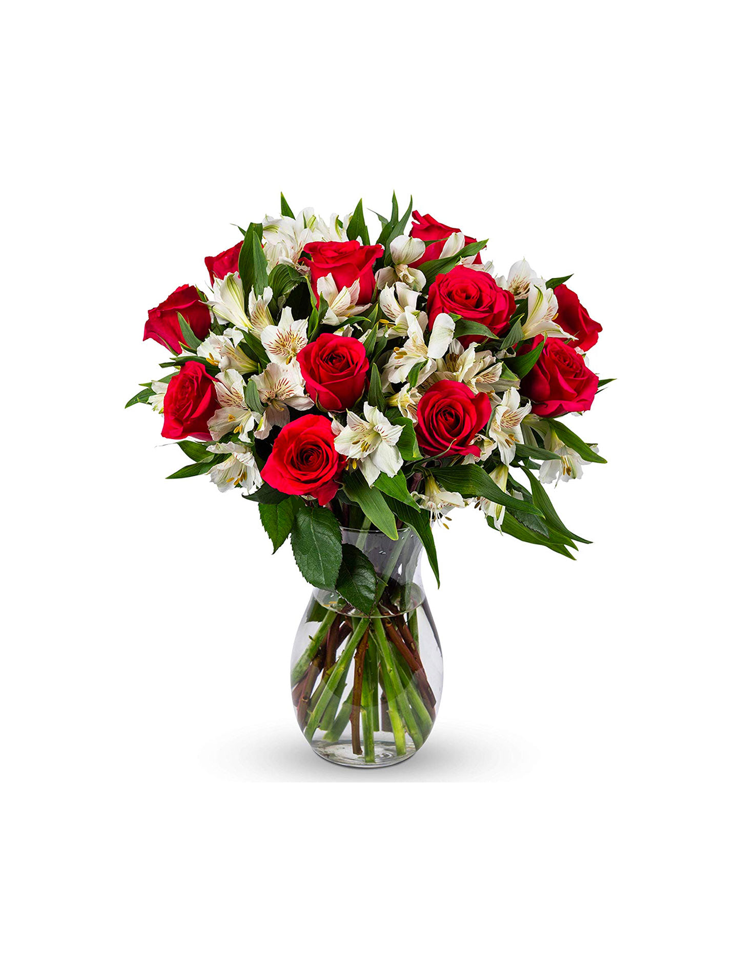 Flower auctor red tulip